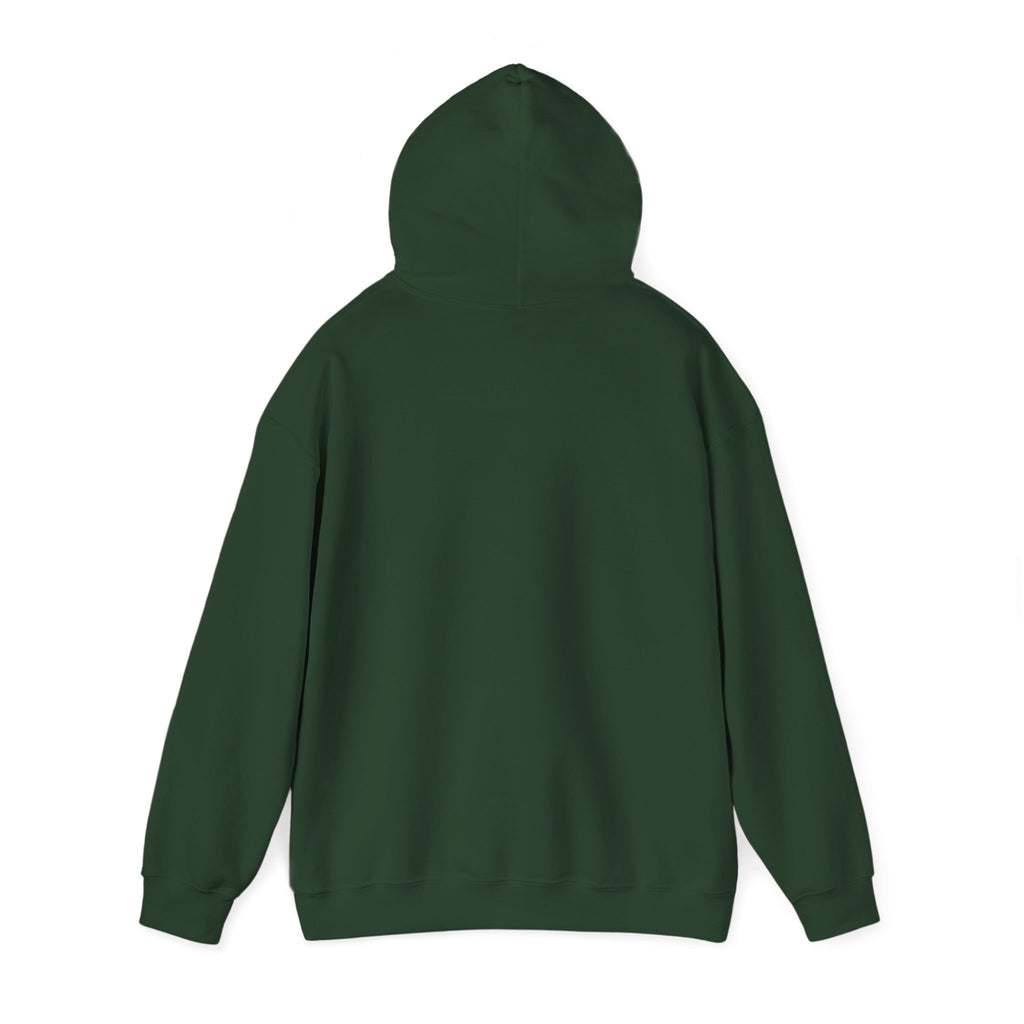Ninja Cyberpunk Hoodie — Neon Futuristic Masked Warrior Sweatshirt