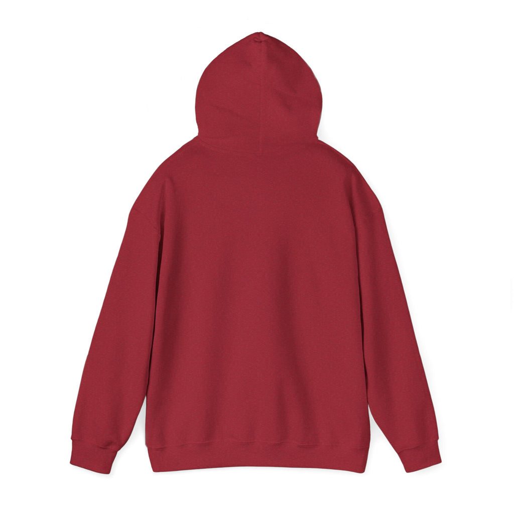 Ninja Cyberpunk Hoodie — Neon Futuristic Masked Warrior Sweatshirt
